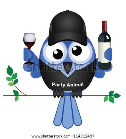 Party Animal bird sat on a branch isolated on white background