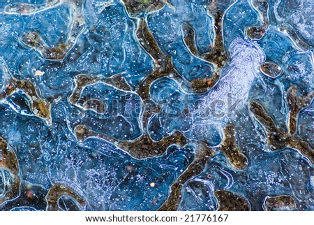 Abstract patterns in a frozen puddle.
