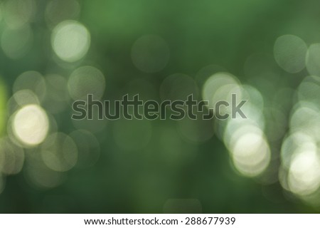 Blurred background photo. Defocused abstract nature. Background out of focus. Can use as wallpaper, design. Summer blurry backdrop. Fairy defocused photos.