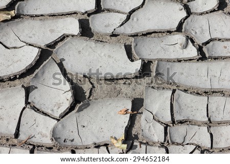 dried mud texture background