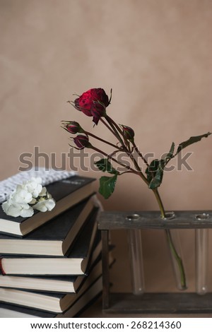 Roses lie on a pile of books , decor