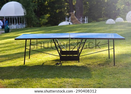 Table tennis is on the lawn in the summer garden, rest