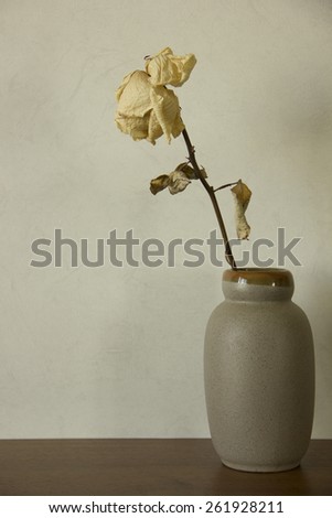 Vintage vase with one dried flower on light wallpaper background. Sepia tone scenes. Sepia tone scenes