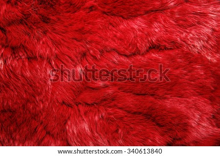 Close-up of lapin colored fur for texture or background