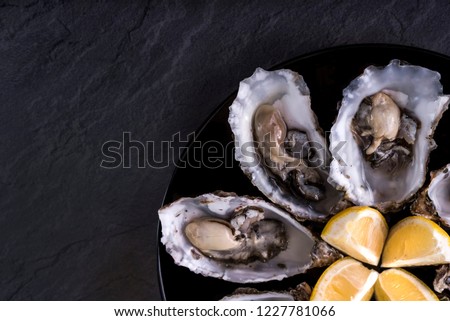 Oysters plate with lemon on grey background. Served table with oysters and lemon. Fresh oysters close-up top view. Healthy sea food. Oyster dinner with champagne in restaurant. Oysters with lemon
