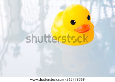 yellow duck on the water