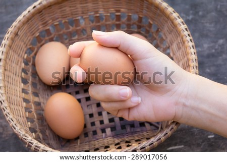 pick an egg comes to add a basket