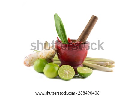 Spices  with Mortar and Pestle isolated on white background / Thai Spicy Foods