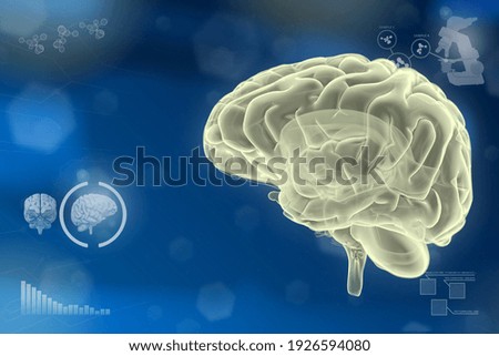 Human brain, anatomy research concept - very detailed hi-tech texture, medical 3D illustration