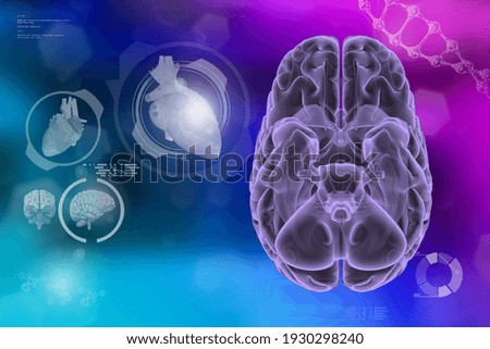 Human brain, physiology study concept - detailed electronic texture, medical 3D illustration