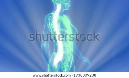backbone on x ray body, cg medical 3d illustration