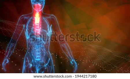 cg healthcare 3d illustration, Cervical, top part of chine on x ray body