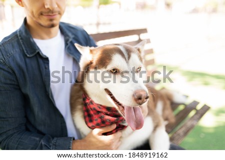 Close up of a furry dog smiling and lying in the lap of his male dog owner sitting in a bench park