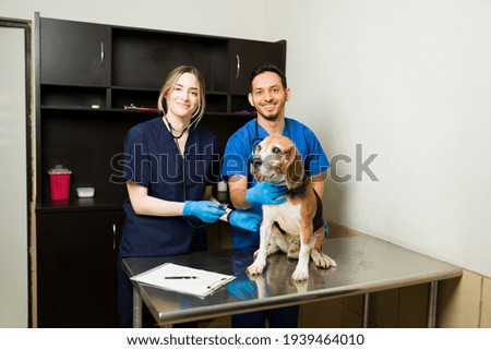 Caucasian and hispanic veterinarians smiling while examining a beagle dog at the exam table. Happy vets with stethoscopes working on a healthy pet