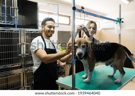 Hispanic man and beautiful woman drying the hair of a beagle dog after a fresh bath. Happy pet groomers cleaning and grooming a cute dog at the pet salon
