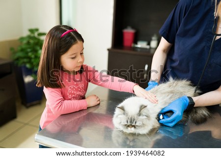 Cute little girl petting and calming down her white persian cat while the professional veterinarian does a medical exam with a stethoscope at the animal clinic