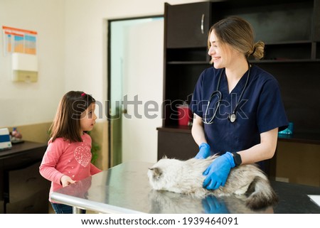Happy female vet smiling and talking to a little girl owner of a white cat. Elementary cute girl taking her fluffy pet to the animal clinic for a check-up