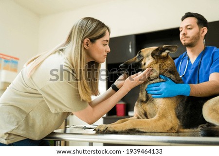 Sad caucasian woman petting her dog and saying goodbye to him at the veterinarian. Hispanic professional vet ready to put to sleep an aging german shepherd