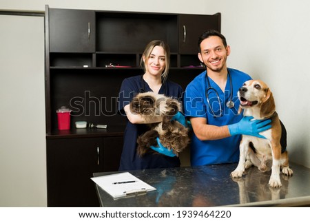 Portrait of two attractive professional veterinarians in scrubs working with a persian cat and a beagle dog at the examination room in the animal clinic
