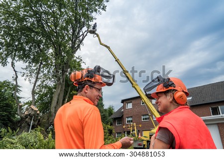 MOERS, GERMANY - AUGUST 10 2015: Workers fell the more than 500 year old Emperor Beech