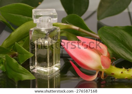 Bottle of perfume and a flower can be associated with beauty salon or spa resort