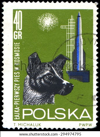 POLAND - CIRCA 1963: stamp printed in Poland,shows the dog Laika, the first dog to go into space