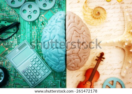 Left and Right Brain Hemispheres