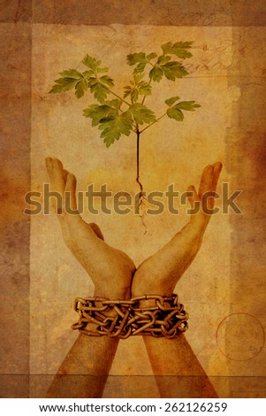 chained hands reaching for small seedling