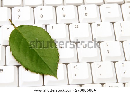 Computer Keyboard with leaf