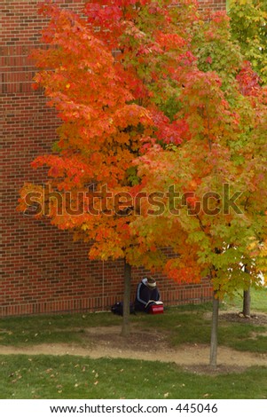 College Student Studying Under Colorful Autumn Tree