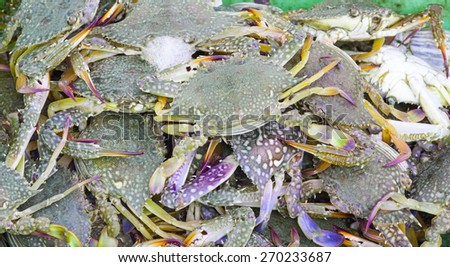 Fresh blue crab  at a seafood market.
