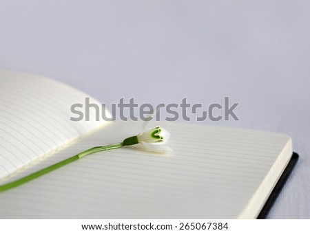 Snowdrop flower laying on a page of a notebook.