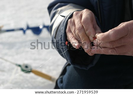 Fisherman\'s hands close-up. skewer red worm on a hook. against the background of fishing tools: ice fishing rod and brace