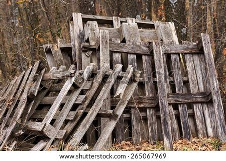 old broken pallets abandoned in the woods
