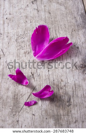 purple peony petals on the wooden background