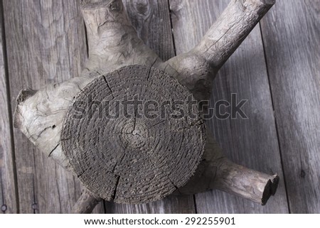 old stump on a wooden background