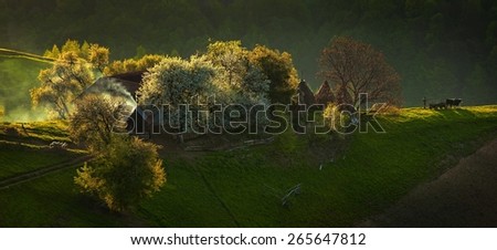 Rural landscape from Romania, peasant who start work early in the morning