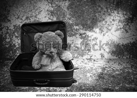 Still life of teddy bear in luggage on black and white