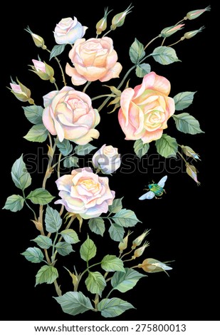 Bouquet of light roses isolated  on black