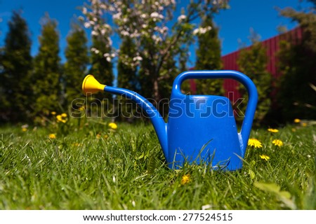Garden watering can on grass in the spring garden