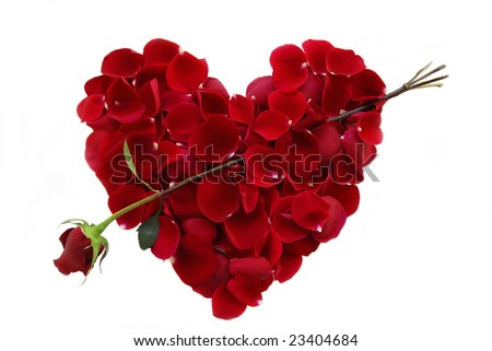 a image of a heart. stock photo : Rose petals in a shape of a heart with Rose Arrow