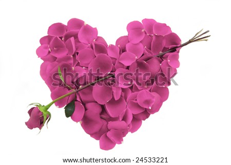 pink heart roses