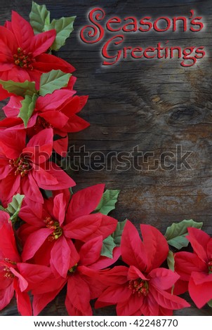 Bright Red Poinsettia flowers on an old wood background.  Season\'s Greetings Christmas Card