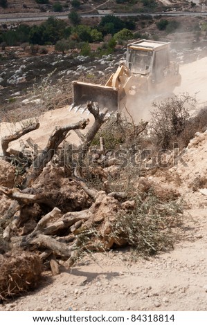 AL-WALAJA, OCCUPIED PALESTINIAN TERRITORIES - SEPTEMBER 5: A bulldozer passes olive trees cut down to make way for Israel\'s separation barrier around the West Bank town of Al-Walaja, Sept 5, 2001.