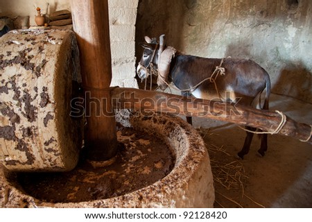A donkey-powered olive oil press in which the animal drives a heavy stone to crush the oil from olives.