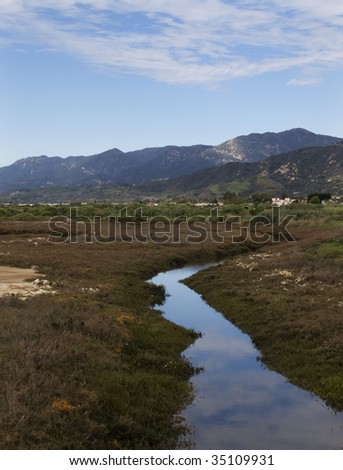 Coastal slough near Santa Barbara, California maintained as a protected wetland and nature preserve.