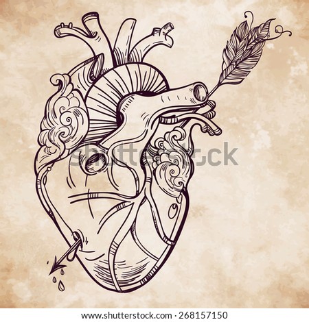 Sketched hand drawn line art beautiful human heart with arrow El Corazon Vintage style Beautiful tattoo template.Isolated vector illustration Tattoo artist design element Old paper background Sketched hand drawn line art beautiful human heart with arrow El Corazon Vintage style Beautiful tattoo template.Isolated vector illustration Tattoo artist design element Old paper background