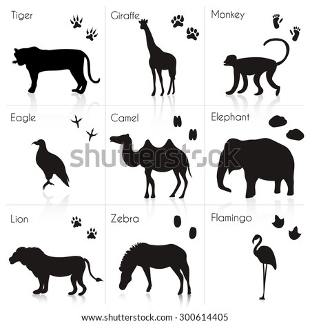Set of Animal and Bird Trails with Name.Vector Set of Tropical  Animals and Birds Silhouettes: Monkey, Camel, Lion, Gopher. Hand Drawn Vector Illustration.