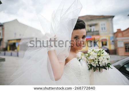 beautiful brunette bride play with veil on the wind