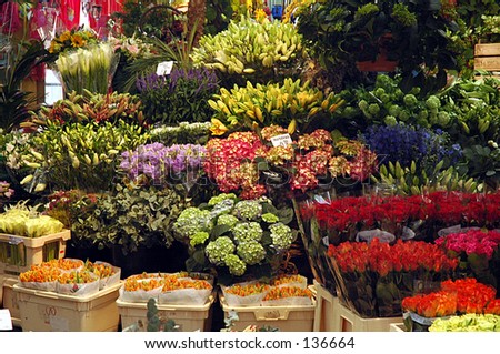 Flower stall, Amsterdam, Holland